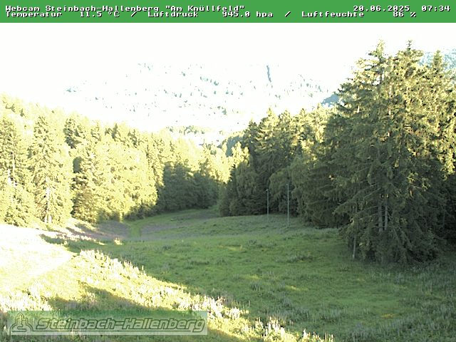 Camera Live Image