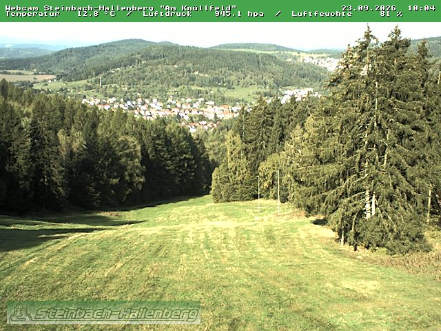 Camera Live Image